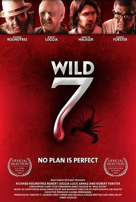【剧情片】Wild Seven