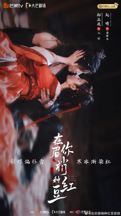 【国产剧】在你眉梢种红豆